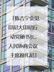陈吉宁会见印尼大印尼行动党秘书长、人民协商会议主席穆扎尼