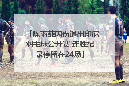 陈雨菲因伤退出印尼羽毛球公开赛 连胜纪录停留在24场