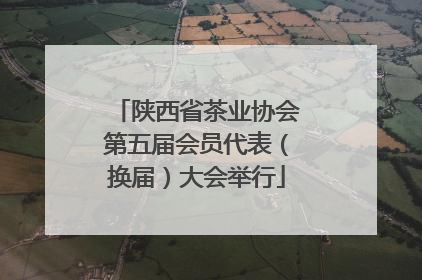陕西省茶业协会第五届会员代表（换届）大会举行