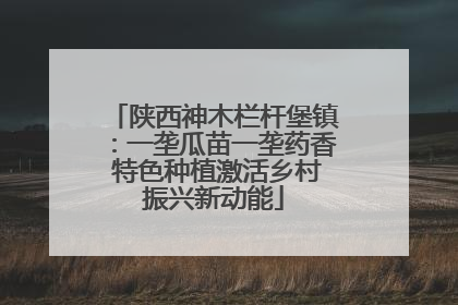 陕西神木栏杆堡镇：一垄瓜苗一垄药香 特色种植激活乡村振兴新动能