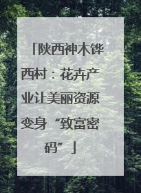 陕西神木铧西村：花卉产业让美丽资源变身“致富密码”