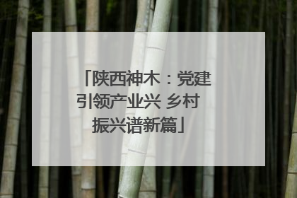 陕西神木：党建引领产业兴 乡村振兴谱新篇