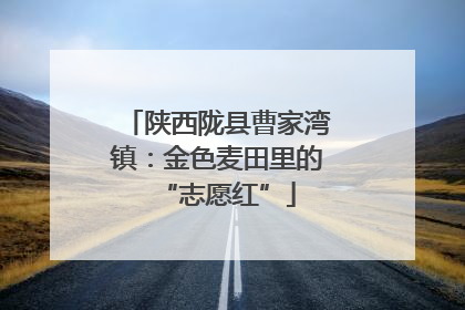 陕西陇县曹家湾镇：金色麦田里的“志愿红”