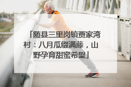 随县三里岗镇贾家湾村：八月瓜缀满藤，山野孕育甜蜜希望