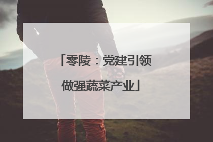 零陵：党建引领 做强蔬菜产业