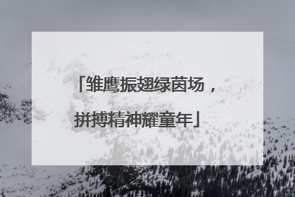 雏鹰振翅绿茵场，拼搏精神耀童年