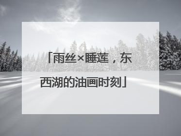 雨丝×睡莲，东西湖的油画时刻