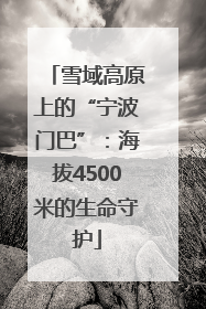 雪域高原上的“宁波门巴”：海拔4500米的生命守护