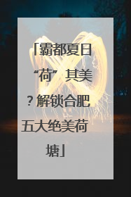 霸都夏日“荷”其美？解锁合肥五大绝美荷塘