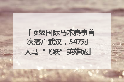 顶级国际马术赛事首次落户武汉，547对人马“飞跃”英雄城