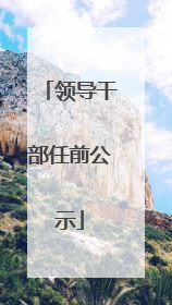 领导干部任前公示