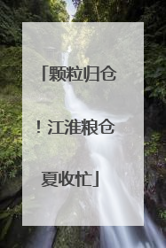 颗粒归仓！江淮粮仓夏收忙