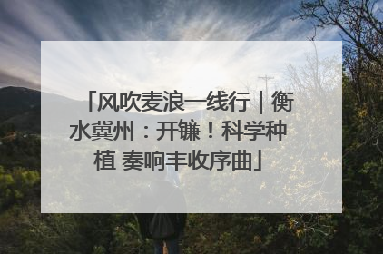 风吹麦浪一线行｜衡水冀州：开镰！科学种植 奏响丰收序曲