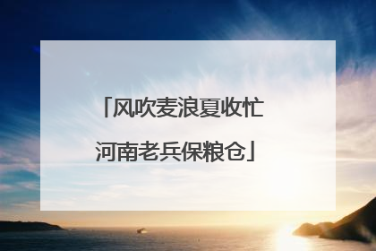 风吹麦浪夏收忙 河南老兵保粮仓