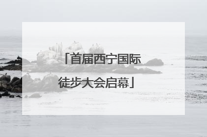 首届西宁国际徒步大会启幕