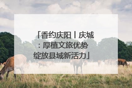 香约庆阳丨庆城：厚植文旅优势 绽放县域新活力