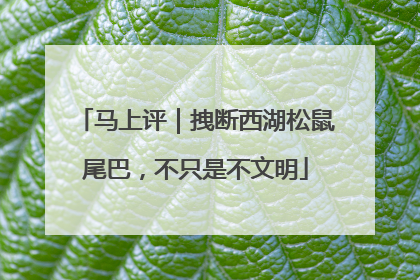 马上评｜拽断西湖松鼠尾巴，不只是不文明