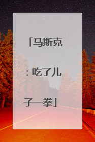 马斯克：吃了儿子一拳
