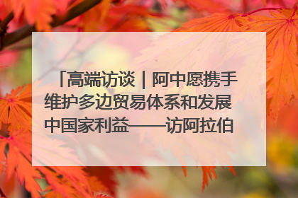 高端访谈｜阿中愿携手维护多边贸易体系和发展中国家利益——访阿拉伯议会议长亚马希