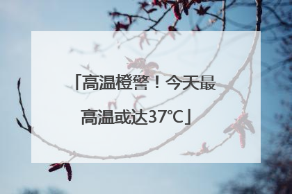 高温橙警！今天最高温或达37℃
