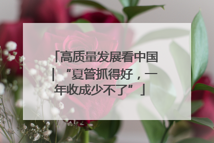 高质量发展看中国｜“夏管抓得好，一年收成少不了”