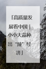 高质量发展看中国|小小大蒜种出“辣”经济