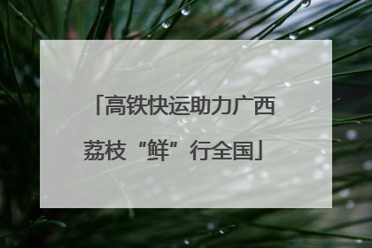 高铁快运助力广西荔枝“鲜”行全国