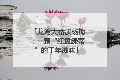 龙湾大岙溪杨梅：一颗“红盘绿蒂”的千年滋味