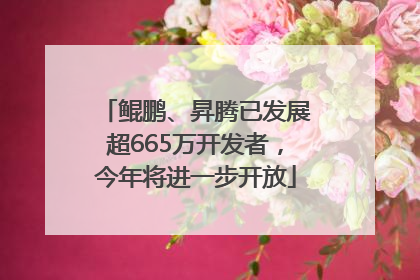 鲲鹏、昇腾已发展超665万开发者，今年将进一步开放