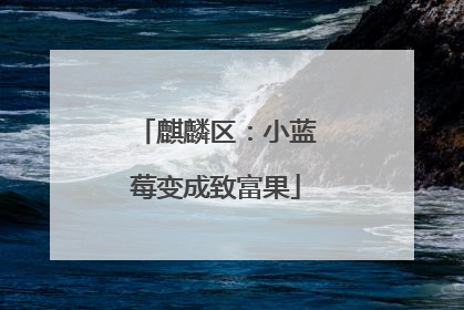 麒麟区：小蓝莓变成致富果