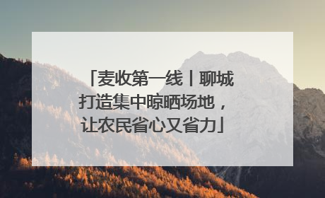 麦收第一线丨聊城打造集中晾晒场地，让农民省心又省力