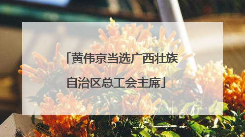 黄伟京当选广西壮族自治区总工会主席