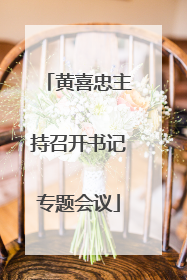 黄喜忠主持召开书记专题会议