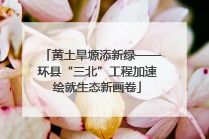 黄土旱塬添新绿——环县“三北”工程加速绘就生态新画卷