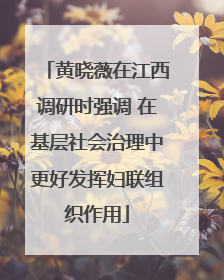黄晓薇在江西调研时强调 在基层社会治理中更好发挥妇联组织作用