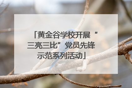 黄金谷学校开展“三亮三比”党员先锋示范系列活动