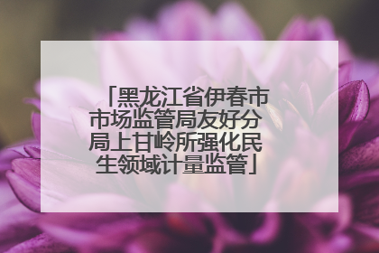 黑龙江省伊春市市场监管局友好分局上甘岭所强化民生领域计量监管