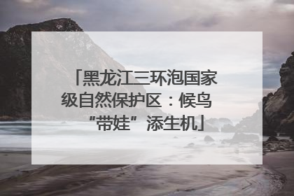 黑龙江三环泡国家级自然保护区：候鸟“带娃”添生机