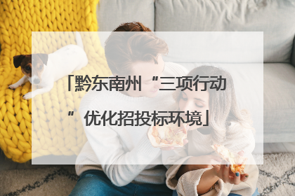 黔东南州“三项行动”优化招投标环境