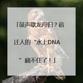 鼓声歇龙舟归？宿迁人的“水上DNA”藏不住了！