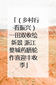 （乡村行·看振兴）一田双收绘新景 浙江婺城药膳轮作喜迎丰收季