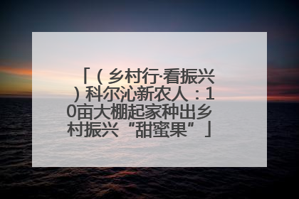 （乡村行·看振兴）科尔沁新农人：10亩大棚起家种出乡村振兴“甜蜜果”