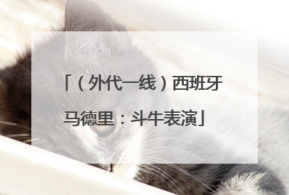 （外代一线）西班牙马德里：斗牛表演
