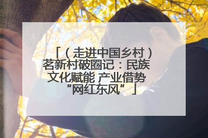 （走进中国乡村）茗新村破圈记：民族文化赋能 产业借势 “网红东风”