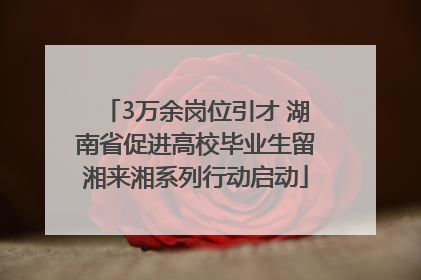 3万余岗位引才 湖南省促进高校毕业生留湘来湘系列行动启动