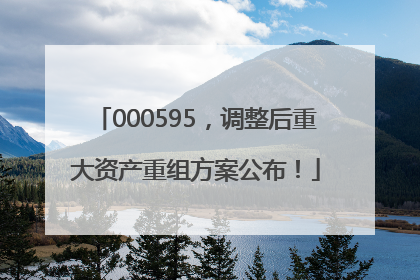 000595，调整后重大资产重组方案公布！