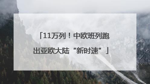 11万列！中欧班列跑出亚欧大陆“新时速”