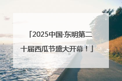 2025中国·东明第二十届西瓜节盛大开幕！