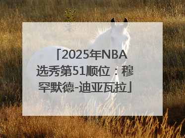 2025年NBA选秀第51顺位：穆罕默德-迪亚瓦拉