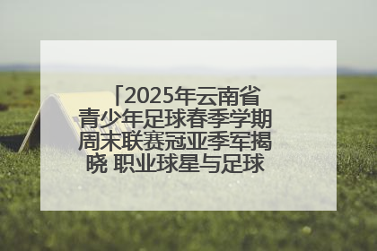 2025年云南省青少年足球春季学期周末联赛冠亚季军揭晓 职业球星与足球小将共享荣耀时刻